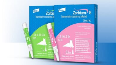 Zorbium for Cats